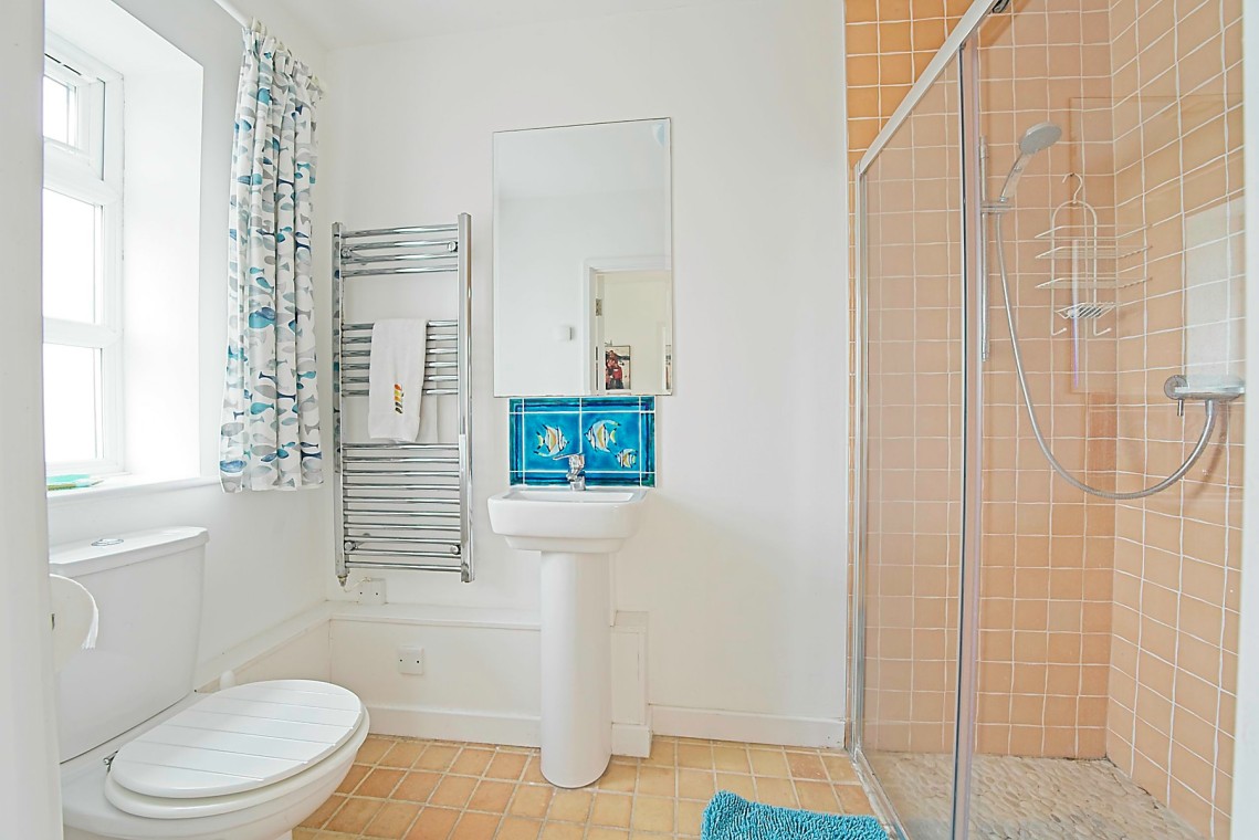 Downstairs Shower